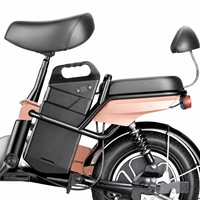 Vélo Électrique Urbain 14 Pouces à Cadre en Acier, Frein à Câble, VTT Électrique à Cadre Bas avec Batterie Amovible pour Adultes - Vente en Gros Usine OEM