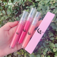 Gloss à lèvres scintillantes LASTROSE vente en gros vrac cosmétiques gloss à lèvres label privé gloss repulpant à lèvres