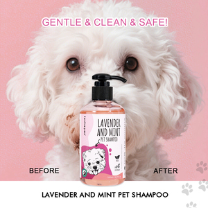 Wholesale Price Customized <strong>Flea</strong> <strong>Tick</strong> Shampoo For <strong>Dogs</strong> Pet <strong>Dog</strong> Shampoo Natural Pet Shampoo Skin Problems Control Grooming - Product Image 3