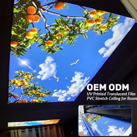 Panel de Techo de PVC Translúcido Impermeable en Oferta, Película de PVC Elástica con Impresión Personalizada de Árbol Naranja y Cielo para Decoración de Habitaciones