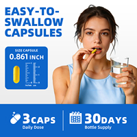 90 Capsules de Complexe de Chardon-Marie et NAC pour la Détoxification Hépatique, le Bien-être Métabolique, l'Antioxydation et le Soutien Cellulaire