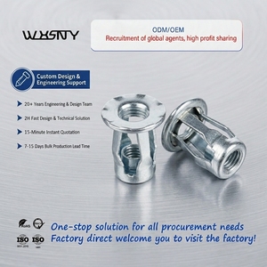 M3-M10 1/4"-20 Verzinkte Stahl-SS304-SS316 Kleine CSK-Kopf Vollsechskant-Nietmuttern für Blech- und Rohrbefestigung - Product Image 2