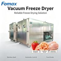 Equipo de Liofilización al Vacío de Buena Calidad, Liofilizador de Alimentos, Precio Más Bajo, Equipo de Secado al Vacío