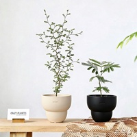Pot de fleurs en argile moderne et simple pour orchidées, begonias, succulentes et légumes racineux - Nouveau produit - Bestseller