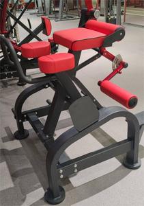 Máquina de Entrenamiento de Fuerza con Placas de Peso para Fisicoculturismo, Equipo de Gimnasio, Hiperextensión Inversa en Venta - Product Image 2