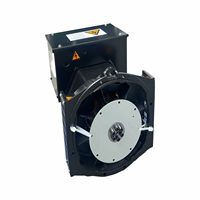 Générateur diesel sans balais de type Stanford 10 kVA 20 kVA, alternateur silencieux portable avec AVR pour alimentation de secours industrielle
