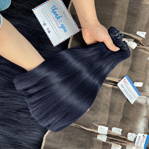 Extensions de cheveux humains vietnamiens bruts de qualité supérieure, lisses comme des baguettes, à double trame, double tirage, vierges Remy, avec pointes épaisses et complètes - Product Image 1
