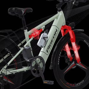 Vélo de montagne électrique 48V avec moteur central sûr et stable, freins à disque doubles, moteur 350W, pneus de 26 pouces pour une utilisation hors route et en ville - Product Image 2