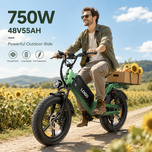 D55 City <b>Electric</b> Bike 20*4.0 FAT TIRE Aluminum Alloy Frame 48V 55AH 750W Mountain E BIKE for Outdoor Ride - Product Image 1