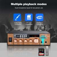   Penguat Daya Stereo Echo Bass Treble USB SD FM Kontrol Mikrofon Ganda Amplifier Audio Karaoke Rumah Buatan Pabrik Sendiri