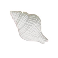 Moule en plâtre étoile de mer série marine écologique en promotion, ornement décoratif cadeau, diffuseur de parfum en pierre, personnalisable