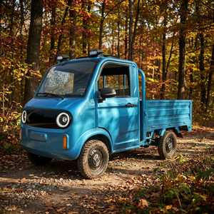 Esun Shandong - Camioneta Eléctrica Personalizada, Mini Camión <span class=keywords><strong>de</strong></span> Cuatro Ruedas <span class=keywords><strong>con</strong></span> Caja <span class=keywords><strong>de</strong></span> Carga Cerrada, Batería <span class=keywords><strong>de</strong></span> Iones <span class=keywords><strong>de</strong></span> Litio Ternaria <span class=keywords><strong>de</strong></span> 30 kWh, 45 km/h, ODM - Product Image 1