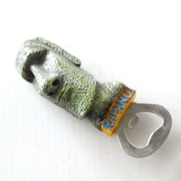 Aimants de réfrigérateur personnalisés OEM en résine, décapsuleurs souvenirs Maldives, Bulgarie, Chili pour promotion