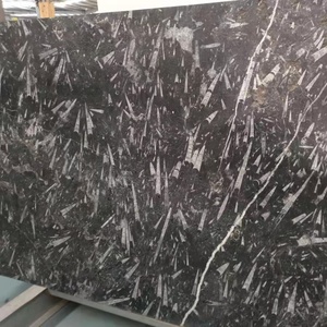 Phiến đá cẩm thạch hóa thạch màu đen với thiết kế bông tuyết đánh bóng bề mặt tính năng chống thấm nước để sử dụng khách sạn - Product Image 2