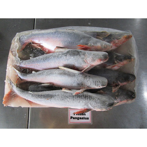 Pangasius Bocourti Congelé Entier (1-2 Pièces/kg) IQF, Boîte de 20kg, Certifié BRC HALAL, Fournisseur Grossiste de Fruits de Mer - Product Image 4
