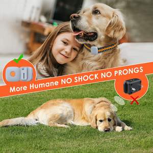 Dispositivo de entrenamiento de perros recargable sin vibración de choque Clip de <span class=keywords><strong>collar</strong></span> de entrenamiento de mascotas con <span class=keywords><strong>control</strong></span> remoto - Product Image 2