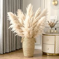Vente directe d'usine : Fleurs séchées naturelles, grandes plumes d'herbe de la pampa beige pour la décoration de la maison et des mariages