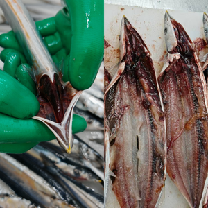 El mayor proveedor del mercado de pescado, Sashimi Grade Saury Fresh Frozen Pacific Saury Mackerel <span class=keywords><strong>Pike</strong></span> - Product Image 2