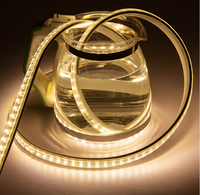 Bande lumineuse LED SMD5730 haute luminosité, étanche, 50 mètres, 100 mètres, 110V, 120V, 220V, flexible et intelligente