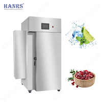 Refroidisseur d'air industriel à azote liquide Hanrs SD-40pans -196°C, contrôle numérique, congélation rapide 1200kg/h, 3KW, automatique