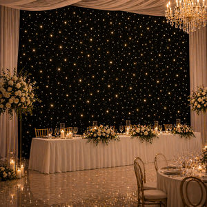 Telón de Fondo LED RGB con Cortina de Estrellas, Luz Blanca Cálida y Azul, Tela Negra con Efecto de Luz de Estrellas para Cabina de Fotos, Escenario, DJ, Control Remoto DMX - Product Image 1