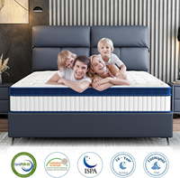 Matelas à ressorts ensachés de luxe moderne Norna, taille Queen, avec mousse à mémoire de forme pour hôtel, appartement - Sommeil de haute qualité