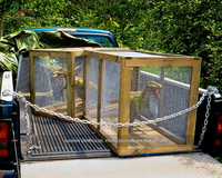 Parc d'aventure des dinosaures Dinosaure animatronique animé en cage Vélociraptor Dinosaurio