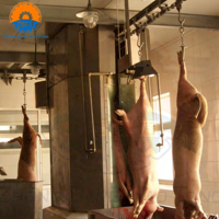Abattoir de porcs entièrement automatique, équipement complet de traitement des animaux, machines d'abattage de porcs, certifié CE, prix usine
