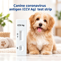 Bandelette de test rapide du coronavirus canin (CCV) – Kit de diagnostic rapide pour chiens