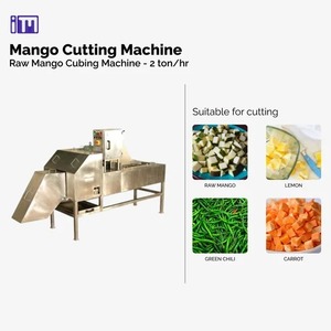Machine à découper les mangues vertes triphasée - Product Image 3