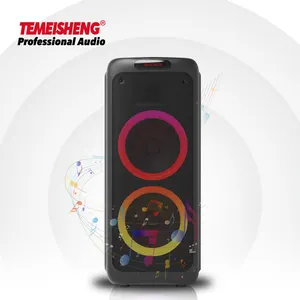 Temeisheng High Power Dual 10 Inch Rechargeable Speaker TWS and REC Function RGB Circling light Portable Active Party Speaker