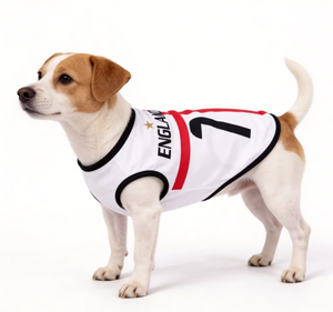 Camisetas para Perros con Lindo Estampado de Letras, Transpirables, de Mezcla de Poliéster, Camisetas de Fútbol de Selecciones Nacionales para Mascotas, Cómodas, Elegantes, Lavables a Mano, Talla 4XL - Product Image 5