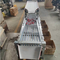 Selectiemachine voor fruit en groenten