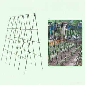 Piquets d'aciérie antirouille modernes revêtus de PVC avec conception résistante à la courbure, pas de contamination du sol pour les plantes lourdes - Product Image 1