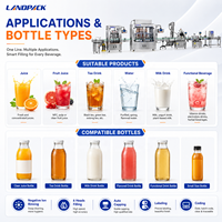 Machine de remplissage de jus de grenade liquide de 50 ml pour petites entreprises