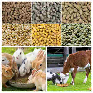 Nhà Máy Hộ Gia Đình Tự Mồi Thổ Nhĩ Kỳ Động Vật Viên Làm Máy/Vòng Chết Viên Máy/Động Vật Thức Ăn Viên <span class=keywords><strong>mil</strong></span> - Product Image 2