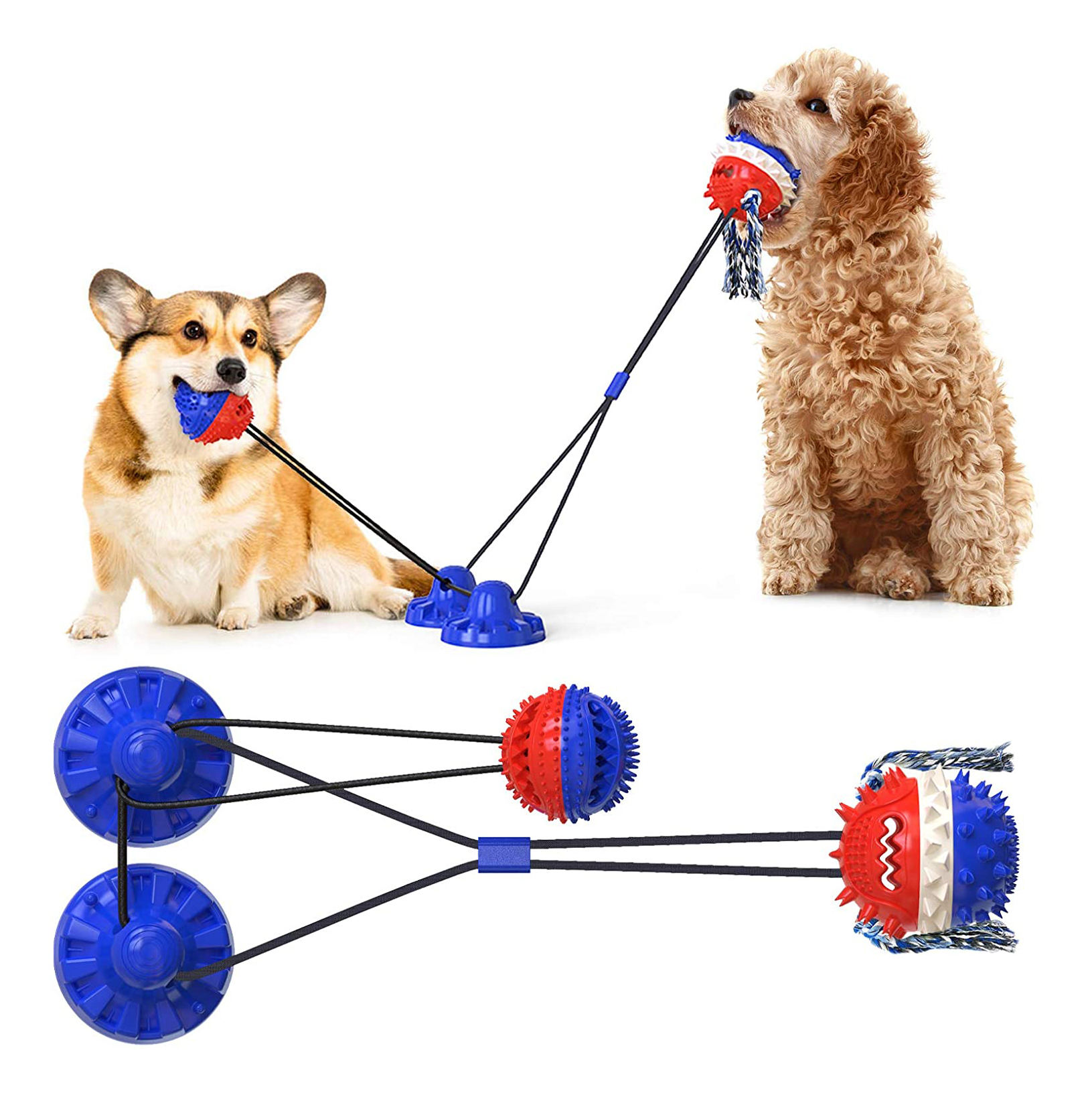 Cheap Chew Interactive Tether Tug TPR Suction Ball Toy