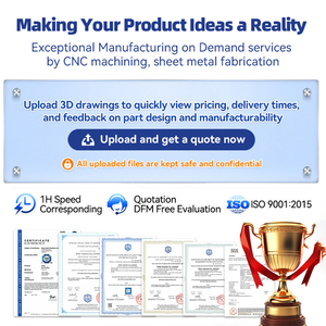 حقن بلاستيكية مخصصة صب PA PA66 TPE POM PVC PS PET LDPE PPS TPV حقن صب - Product Image 6