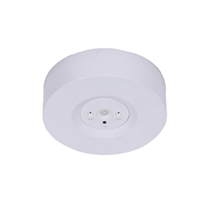 Montaje en superficie No mantenido 3W LiFePO4 Batería LED Señal de salida de emergencia Luz IP20 74000Hrs Prueba Manual 5 años de garantía IP20 - Product Image 1
