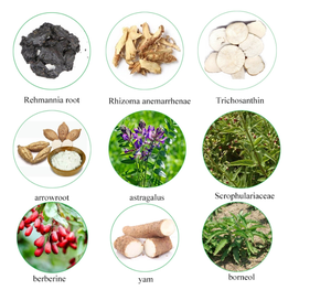 2025 Tiktok Ingrediente Natural De Venda Quente 6 Pcs Por Saco Melhore O Remendo De Açúcar No Sangue - Product Image 6