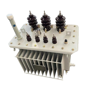 Transformador de Potencia Trifásico Sumergido en Aceite S11s13s20 250/315/400/630/800kva 10KW Totalmente de Cobre - Product Image 2