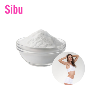 Régime Keto-Friendly Supplément de santé Poudre de Sibu Beauté Figure Courbe Soutien Sibu Gestion du poids corporel Sibu - Product Image 1