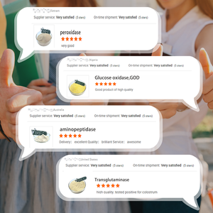 مسحوق إنزيم البروتياز القلوي لتربية الأحياء المائية - Product Image 6