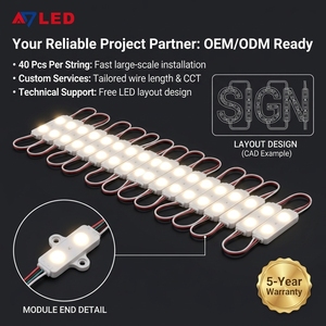 Mini Módulo LED de 12V SMD 2835 con 2 LEDs, Resistente al Agua IP66, con Lente de 180x140 Grados para Señalización con Profundidad de 3cm - Product Image 3