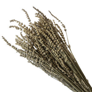 Flores decorativas al por mayor <span class=keywords><strong>lavanda</strong></span> real baratas <span class=keywords><strong>comprar</strong></span> decoración del hogar <span class=keywords><strong>lavanda</strong></span> seca a granel - Product Image 3