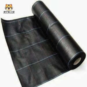 Oferta Especial: Malla Antihierbas de Plástico PP/PE para Control de Malezas, Tela para Paisajismo para Granjas y Huertos, Precio de Fábrica - Product Image 1