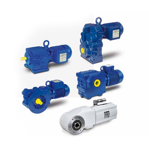 Motorreductor de eje serie BF - Product Image 6