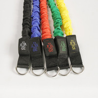 Juego de bandas de resistencia de tubo de ejercicio físico Logotipo personalizado TPE Ecológico Durable para entrenamiento de fuerza Práctica de dominadas