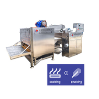 Chine sec rotatif poulet oiseaux caille plume échaudage et plumer machine caoutchouc commerce industriel