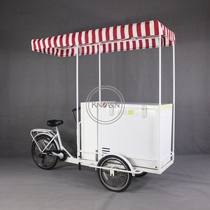Vélo cargo réfrigéré à trois roues motorisé électrique OEM pour la livraison de glaces et de boissons fraîches - Product Image 5